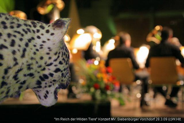 2009-03-28 22-08-14a